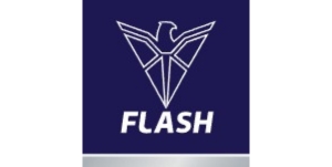 Flash logo